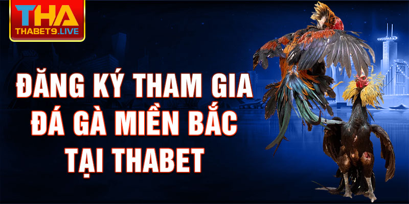 Đăng ký tham gia Đá Gà Miền Bắc tại thabet