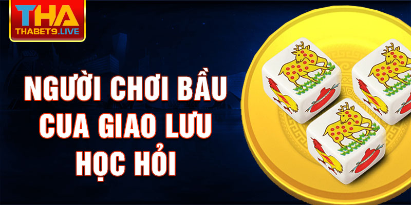 Người chơi bầu cua giao lưu học hỏi